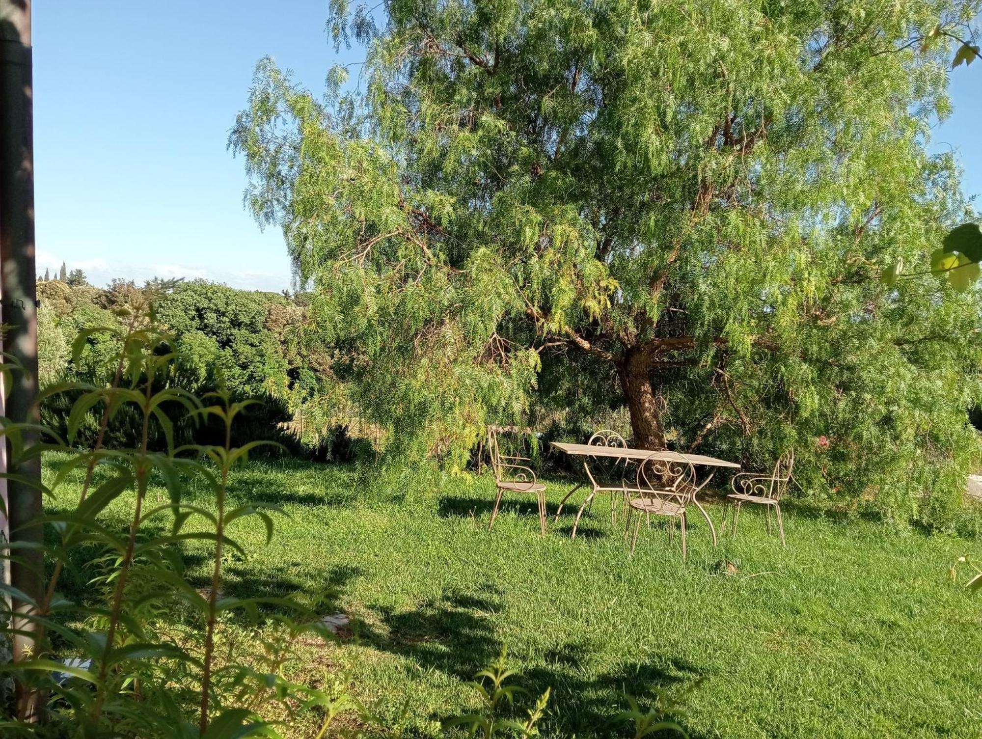 Agriturismo Podere Gianmaria Castiglioncello Exterior photo